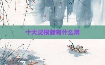 十大灵根都有什么用