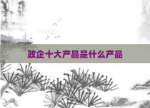 政企十大产品是什么产品
