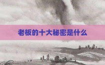 老板的十大秘密是什么
