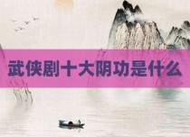 武侠剧十大阴功是什么