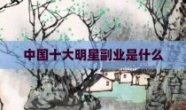 中国十大明星副业是什么