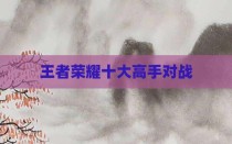 王者荣耀十大高手对战