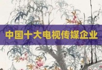 中国十大电视传媒企业