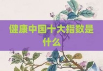 健康中国十大指数是什么