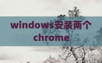windows安装两个chrome