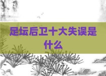 足坛后卫十大失误是什么