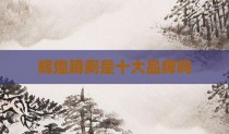 辉煌蹲厕是十大品牌吗
