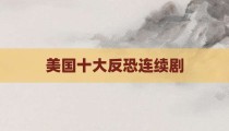 美国十大反恐连续剧