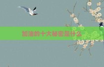 加油的十大秘密是什么