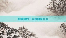 在家用的十大神器是什么