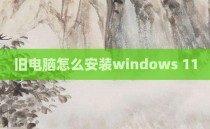 旧电脑怎么安装windows 11