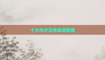 十大肉片日本动漫歌曲