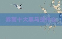 券商十大黑马是什么