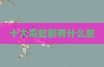 十大毒蛇都有什么蛇