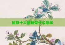 篮球十大秘籍是什么意思