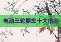电动三轮棚车十大排名