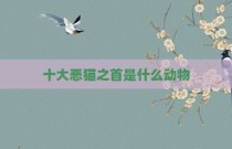 十大恶猫之首是什么动物