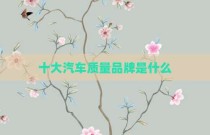 十大汽车质量品牌是什么