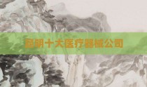 昆明十大医疗器械公司