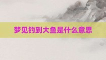 梦见钓到大鱼是什么意思