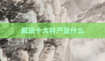 威远十大特产是什么