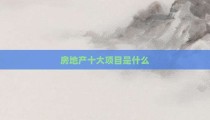 房地产十大项目是什么
