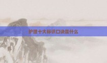 护理十大标识口诀是什么