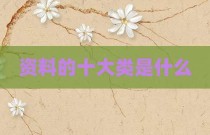资料的十大类是什么