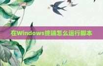 在Windows终端怎么运行脚本