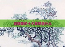 自媒体的十大发明是什么