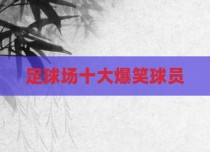 足球场十大爆笑球员