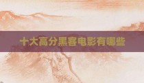 十大高分黑客电影有哪些