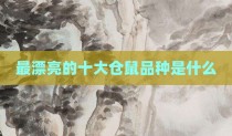 最漂亮的十大仓鼠品种是什么
