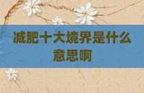 减肥十大境界是什么意思啊