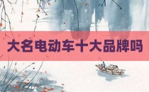 大名电动车十大品牌吗