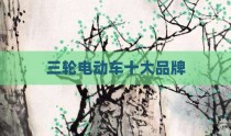 三轮电动车十大品牌
