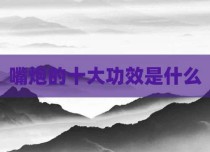 嘴炮的十大功效是什么