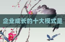 企业成长的十大模式是