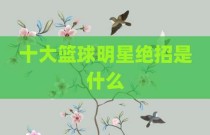 十大篮球明星绝招是什么