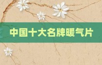 中国十大名牌暖气片