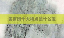 美吉姆十大特点是什么呢