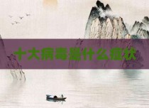 十大病毒是什么症状
