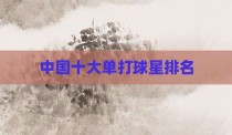 中国十大单打球星排名