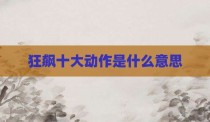 狂飙十大动作是什么意思