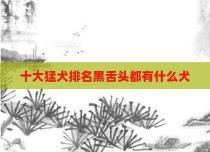 十大猛犬排名黑舌头都有什么犬