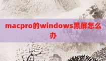 macpro的windows黑屏怎么办