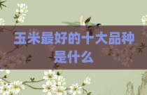 玉米最好的十大品种是什么