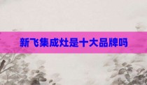 新飞集成灶是十大品牌吗