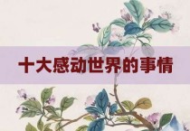 十大感动世界的事情