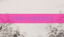 分红的十大程序是什么